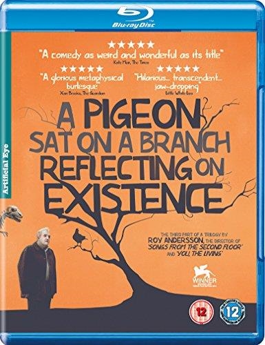 Pigeon Sat On A Branch Reflecting Upon Existence (Import)