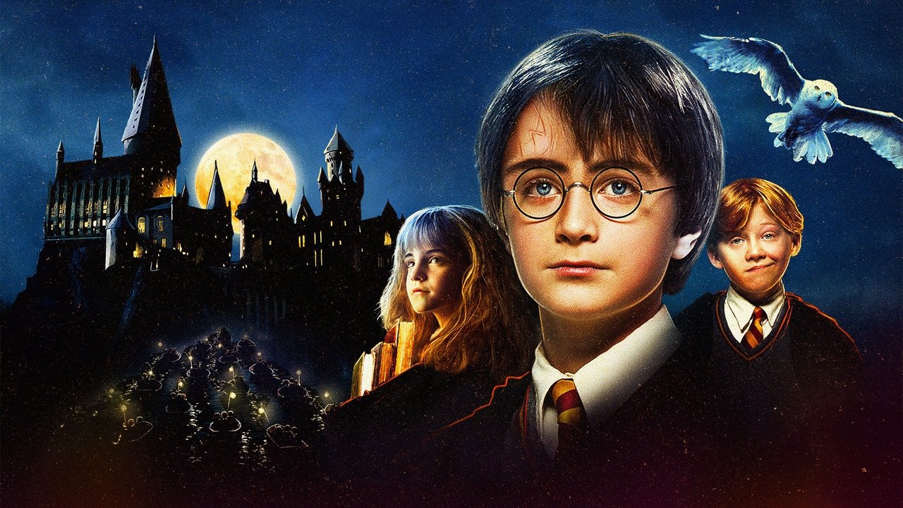 Harry Potter 1 - De steen der wijzen (Vlaams) (DVD)