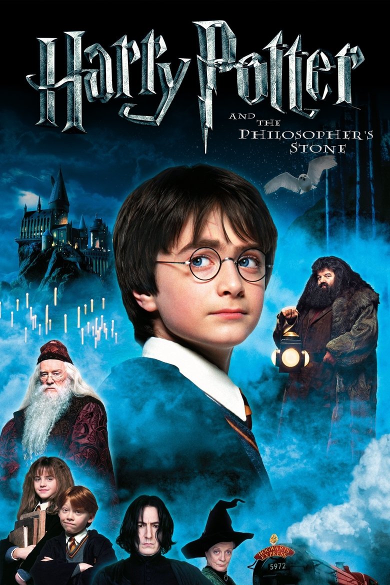 Harry Potter 1 - De steen der wijzen (Vlaams) (DVD)