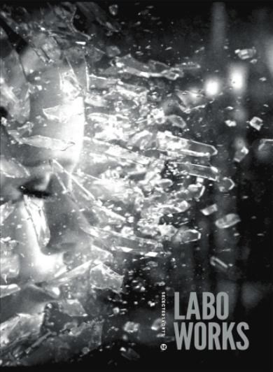 Selected Shorts 12 - Labo Works    (DVD)