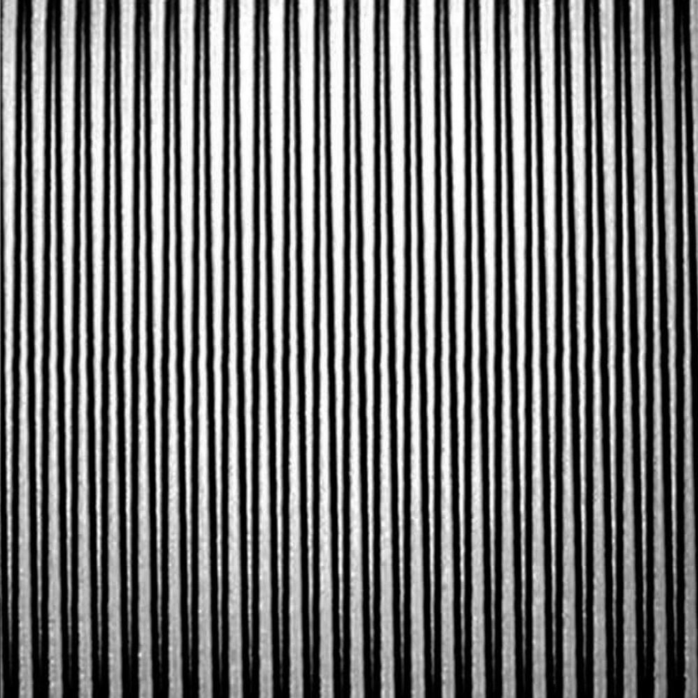 Coolies - Master (LP)