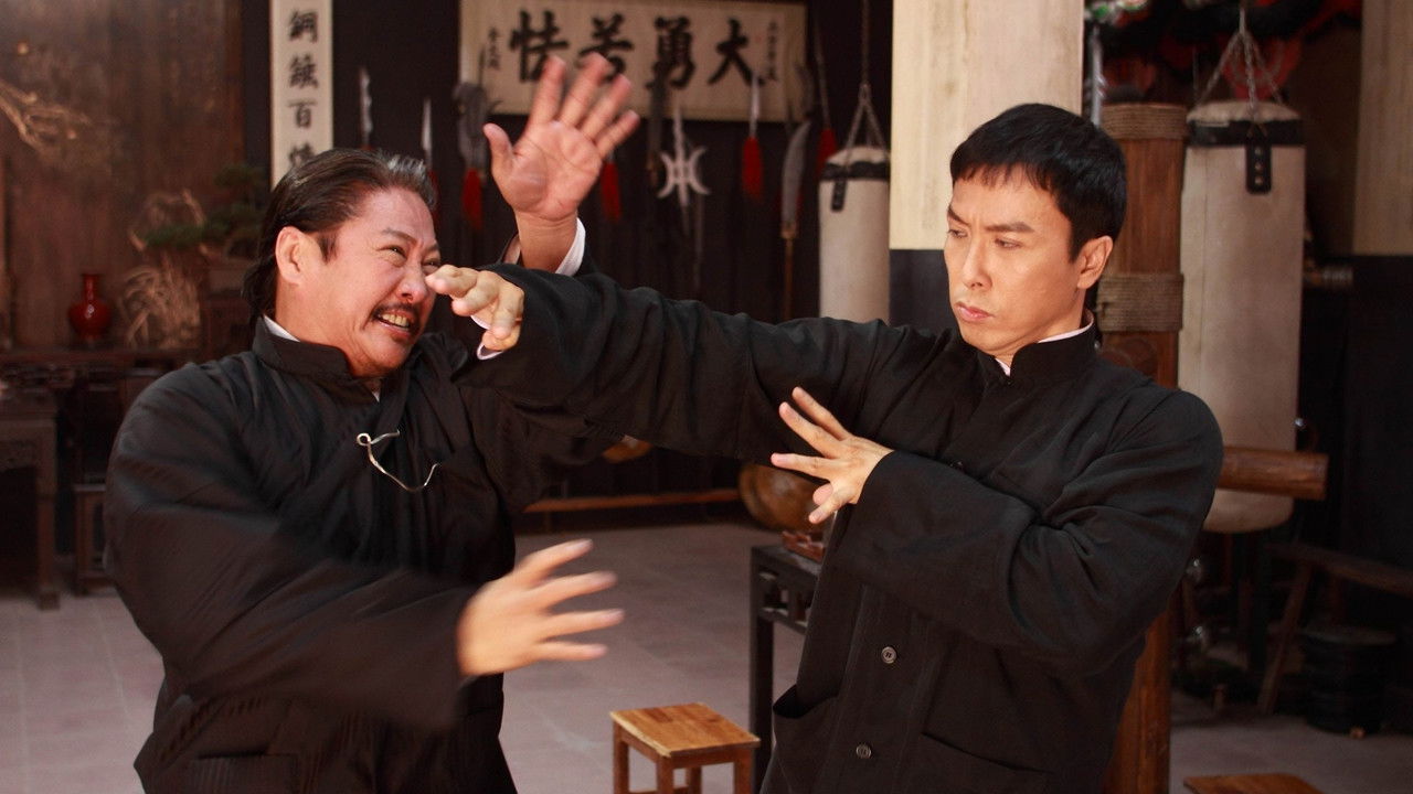IP man 2 (DVD)