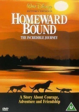 Homeward Bound: The Incredible Journey (Import)