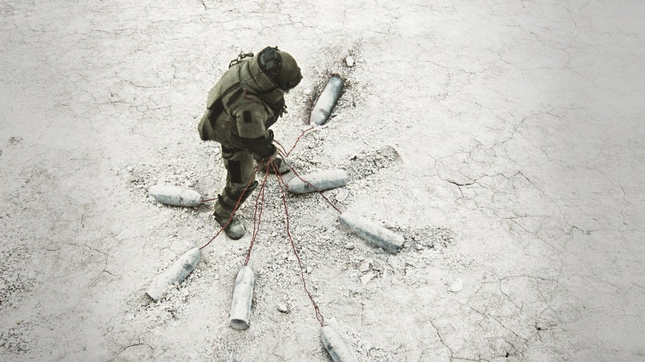 Hurt Locker, The (Import)