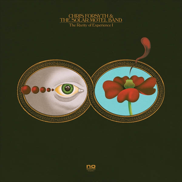 Chris Forsyth & The Solar Motel Band - The Rarity Of Experience (2 LP)