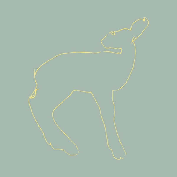 Songs: Ohia - Hecla & Griper (LP)