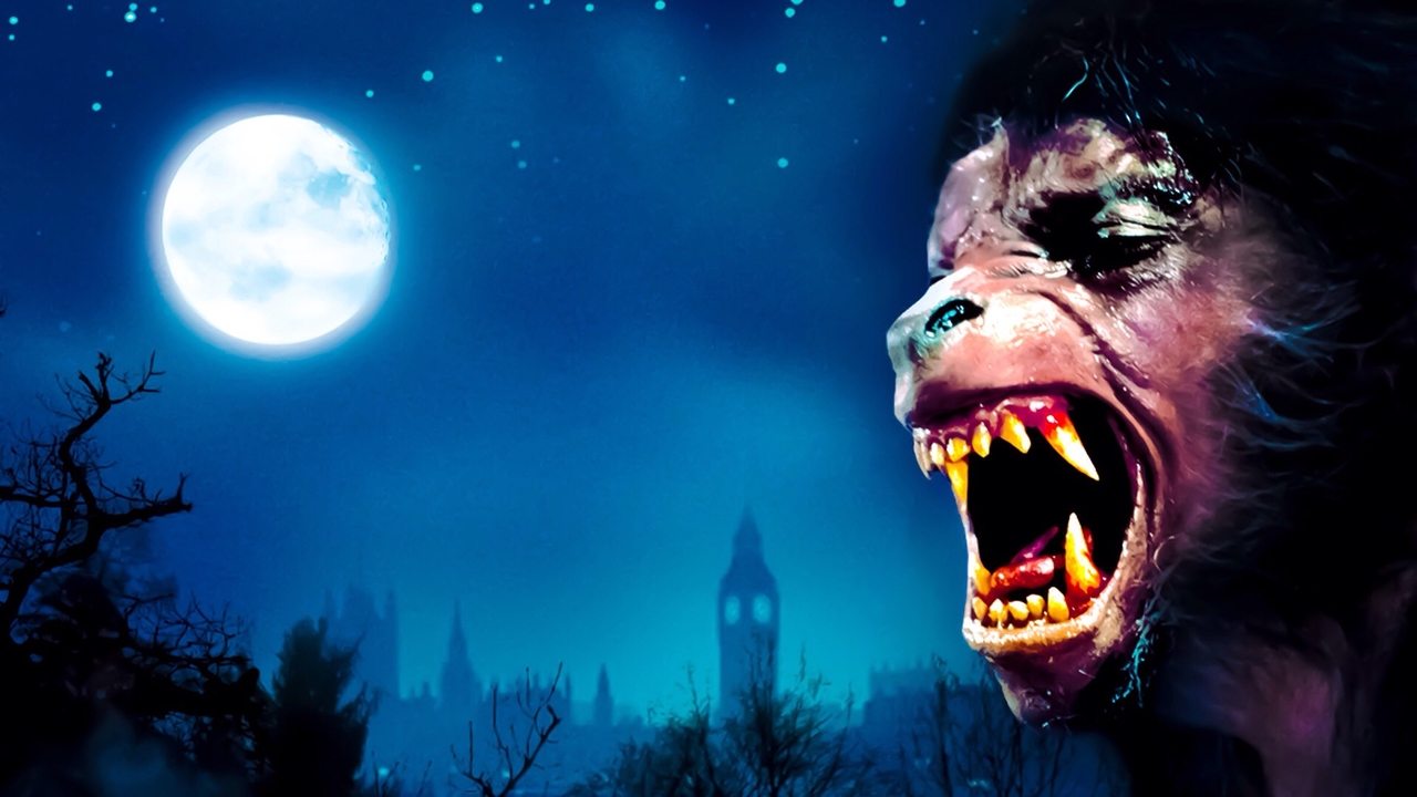 American Werewolf In London. An (Import)