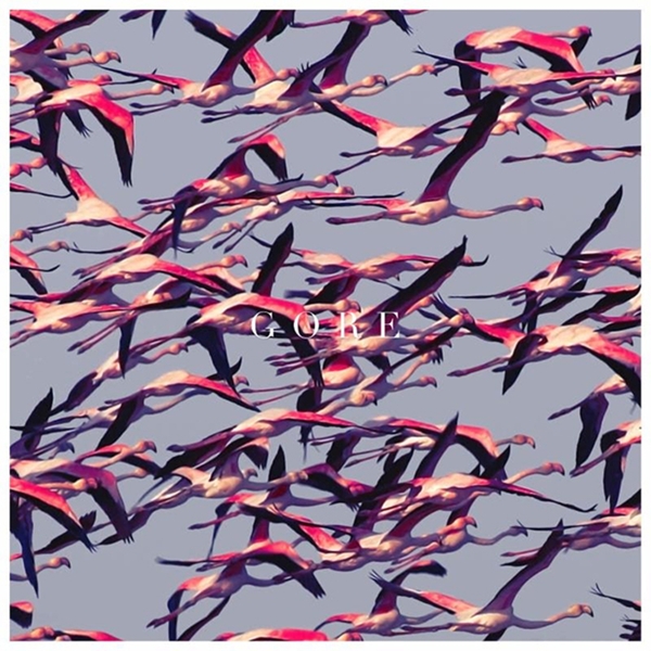 Deftones - Gore (2 LP)