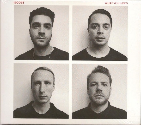 Goose - What You Need (LP) (Coloured Vinyl)