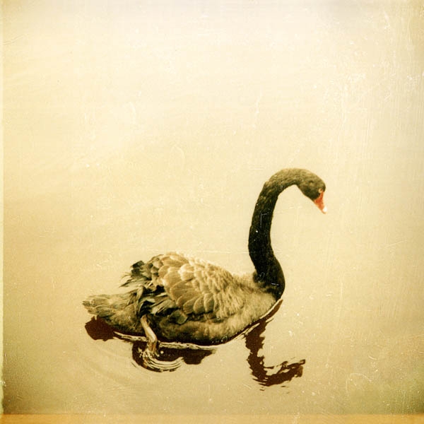 Crooked Fingers - Crooked Fingers (LP)