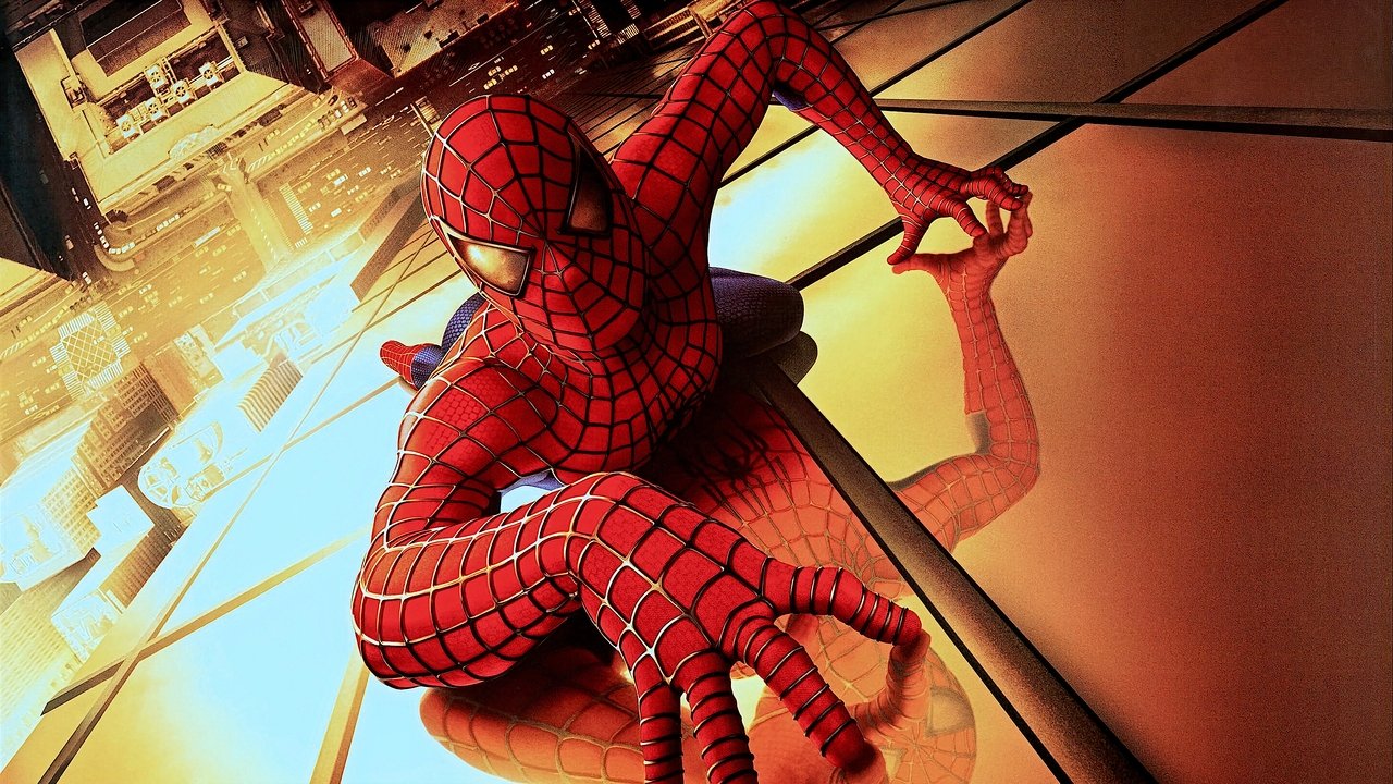 Spider - Man (DVD)