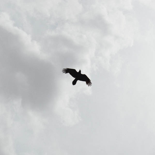 Moon Bros. - These Stars (CD)