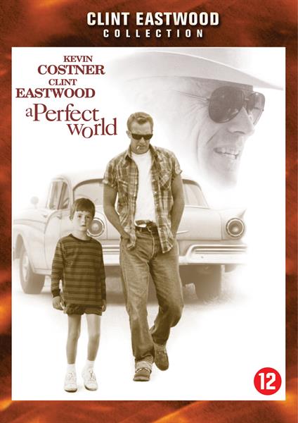 Perfect World, A (Import)
