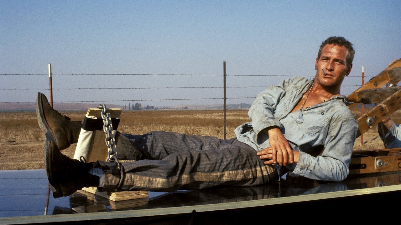 Cool Hand Luke (Import)