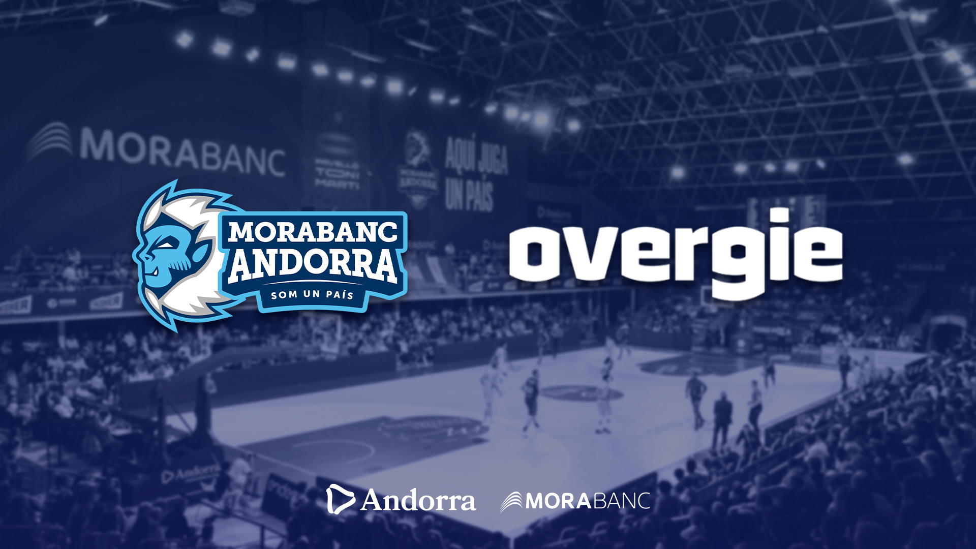 Benvinguts a Overgie!