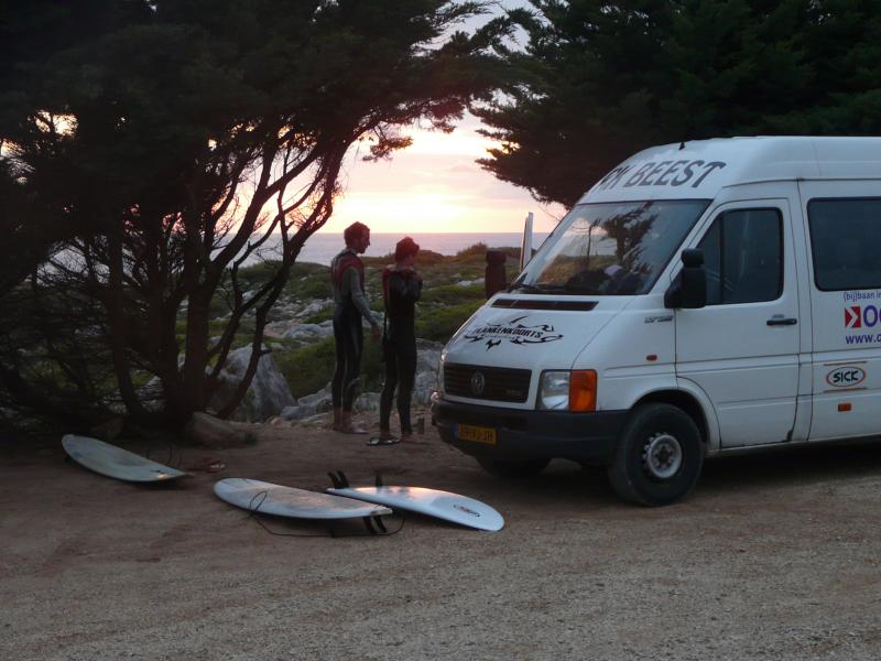 GONE SURFING (contact)