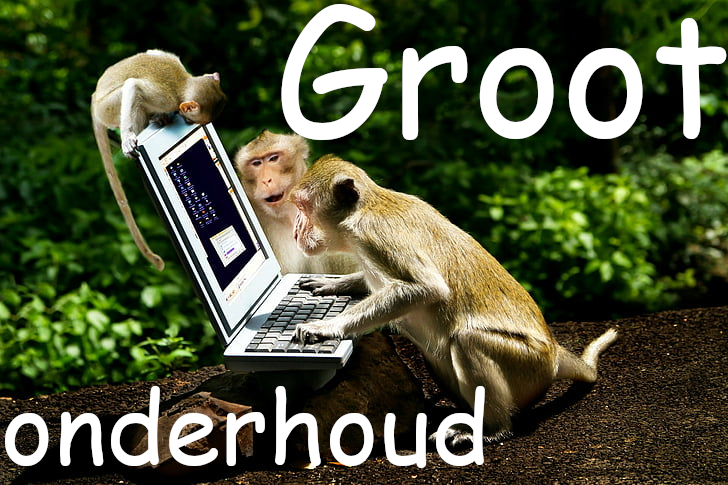 Groot onderhoud website