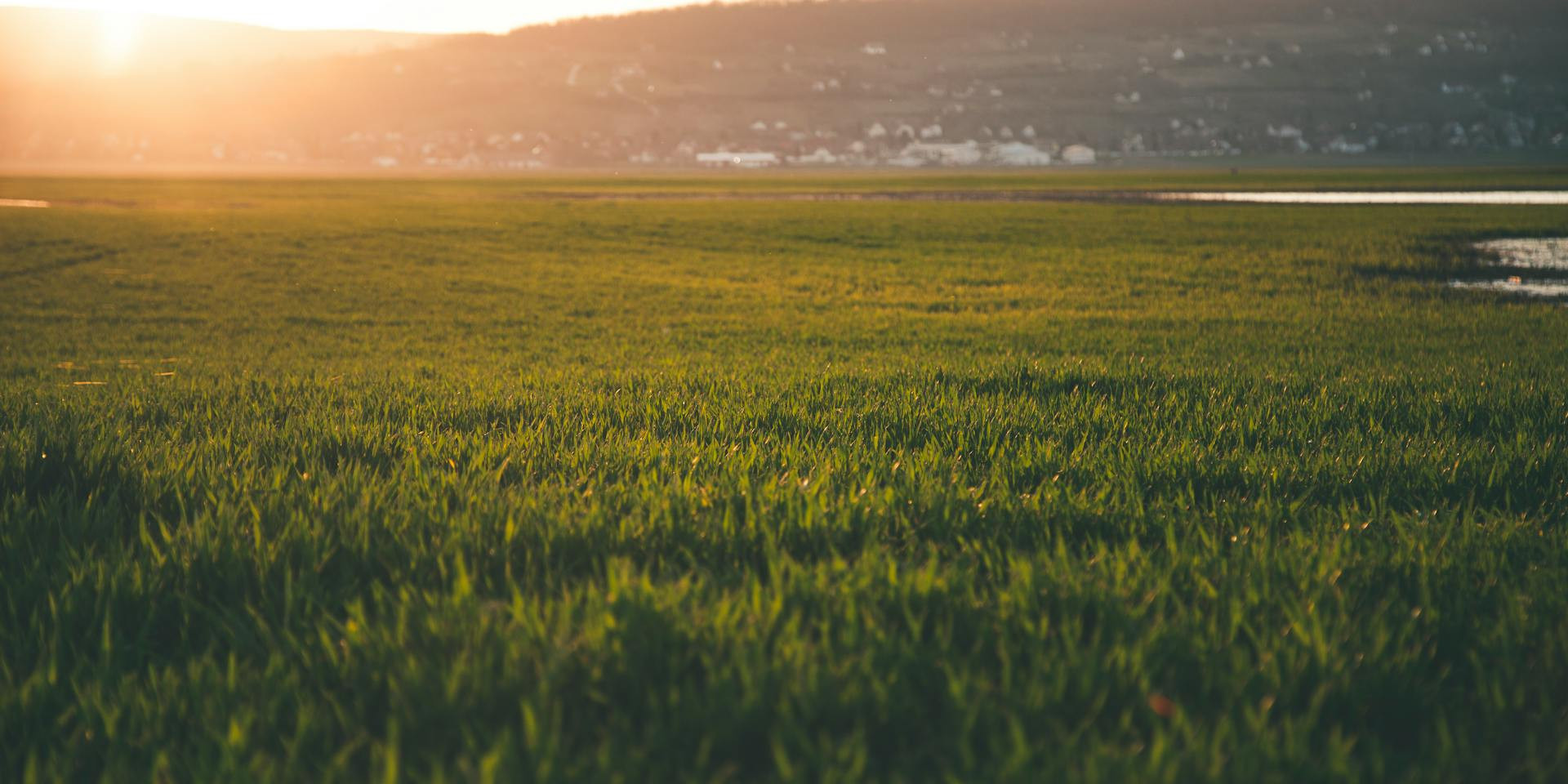 Bürgermeister verschachert KZ-Gelände und wird dabei reich
