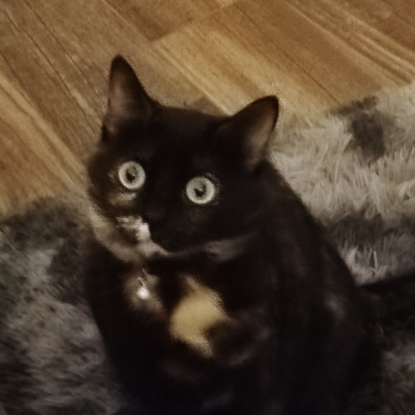 Benutzerfoto 6xitknxx