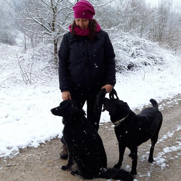 Benutzerfoto Estravagario