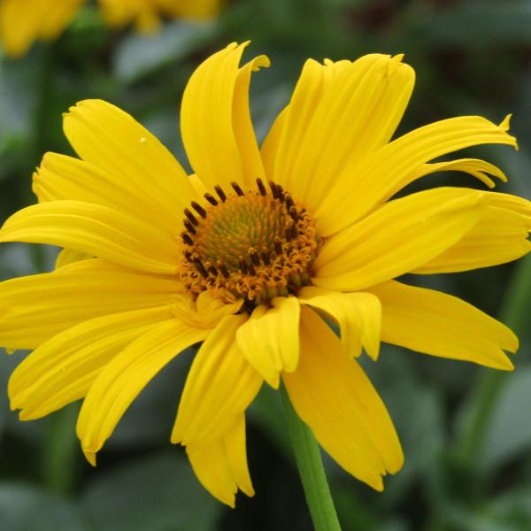 Benutzerfoto Babsi1304