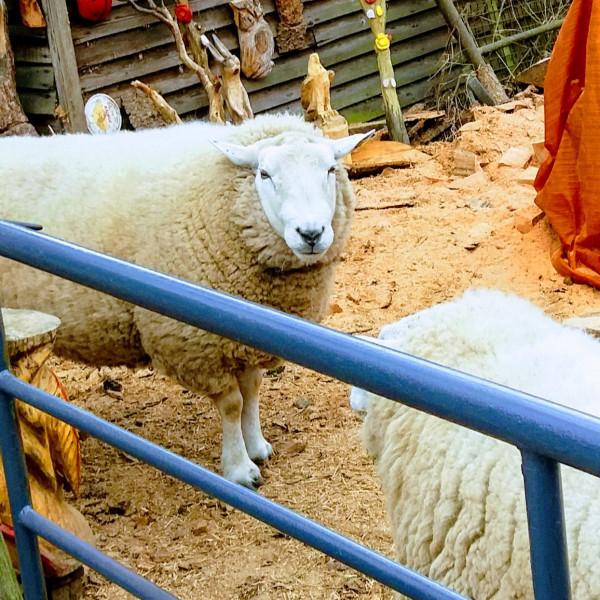 Benutzerfoto Puddingqueen