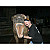 Benutzerfoto heavyhippo