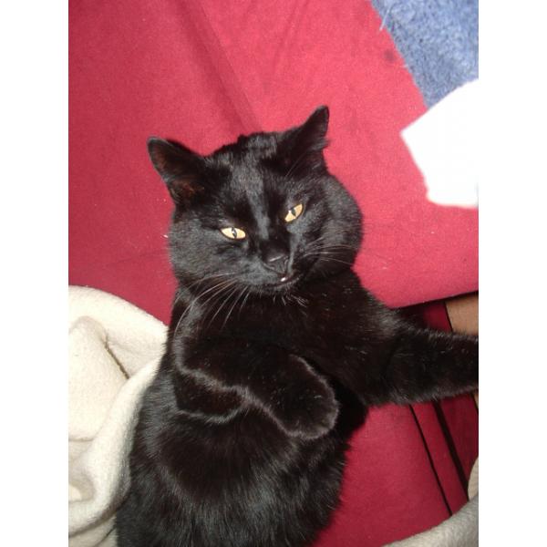 Benutzerfoto fischermp