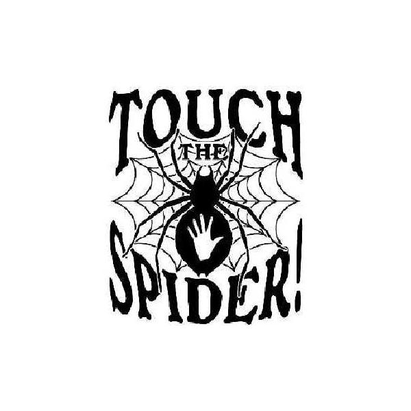 touchthespider