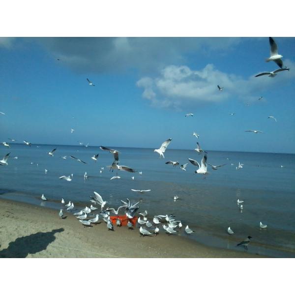 Benutzerfoto EliaJosiaHesekiel