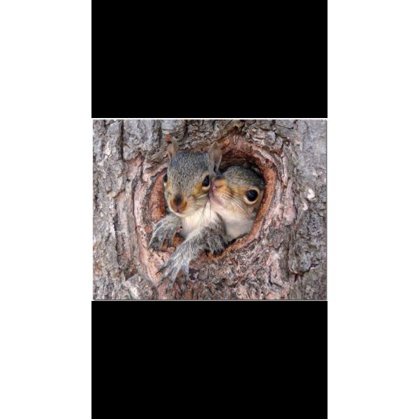 Benutzerfoto Finni27