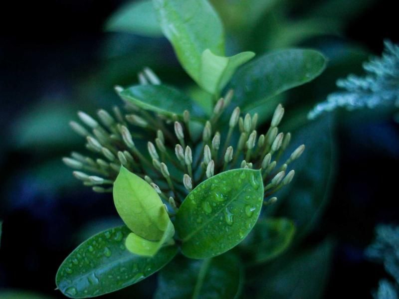 Fietstocht met Rachel