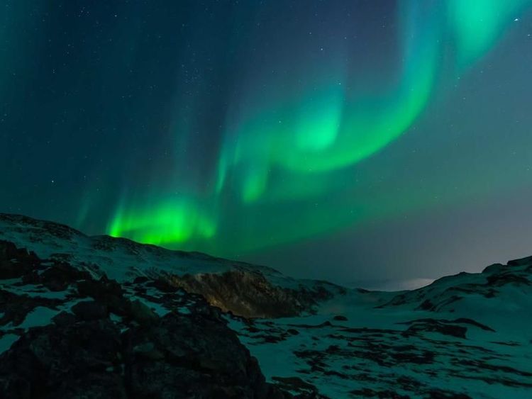 Concertbezoek met Puk