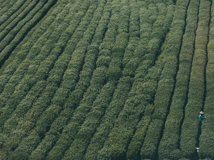 Escape room met Juliëtte