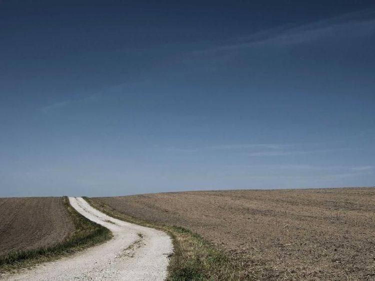 Filmavond met Feline