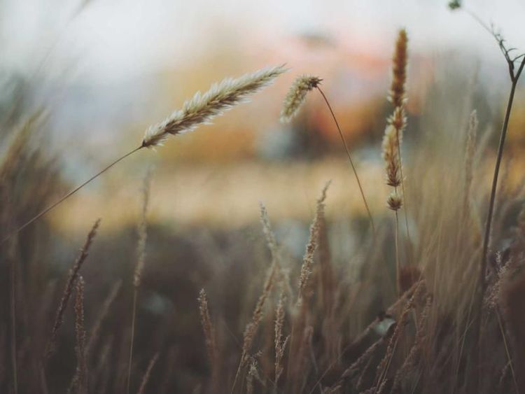 Pizzaworkshop met Jette