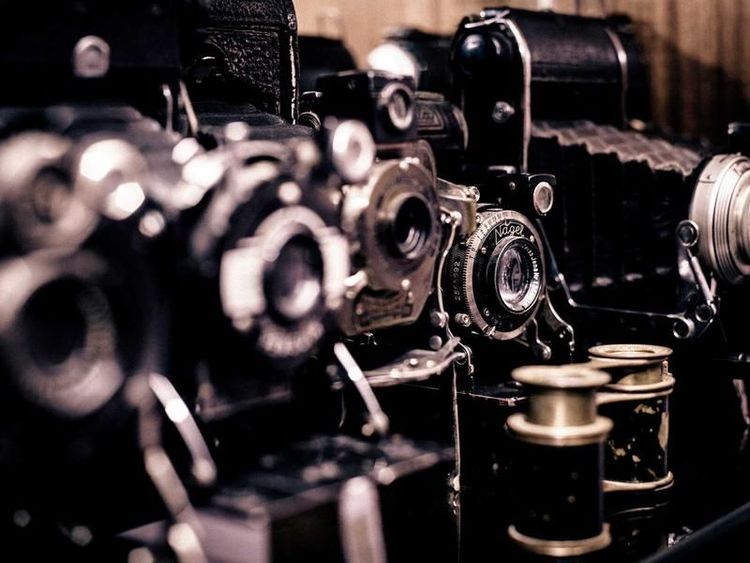 Wijnproeverij met Feline