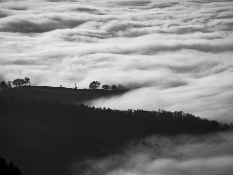 Bierproeverij met Siep