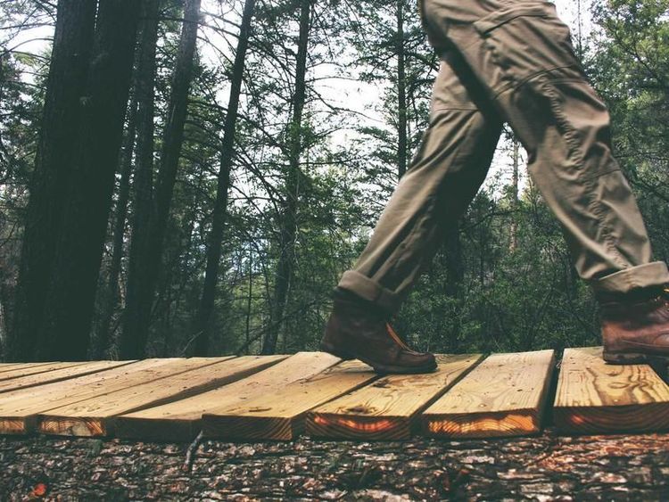 Concertbezoek met Dani