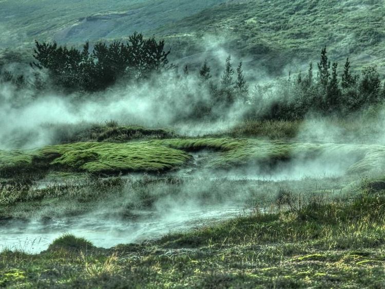 Concertbezoek met Jace