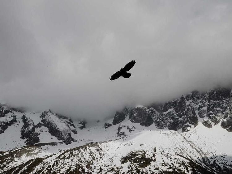 Karaoke-avond met Fabian