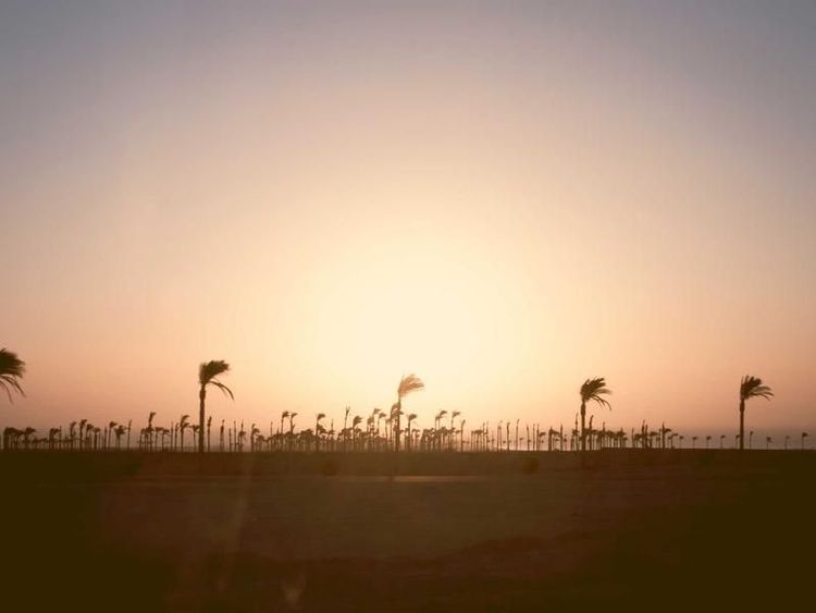 Kartrace met Johannes