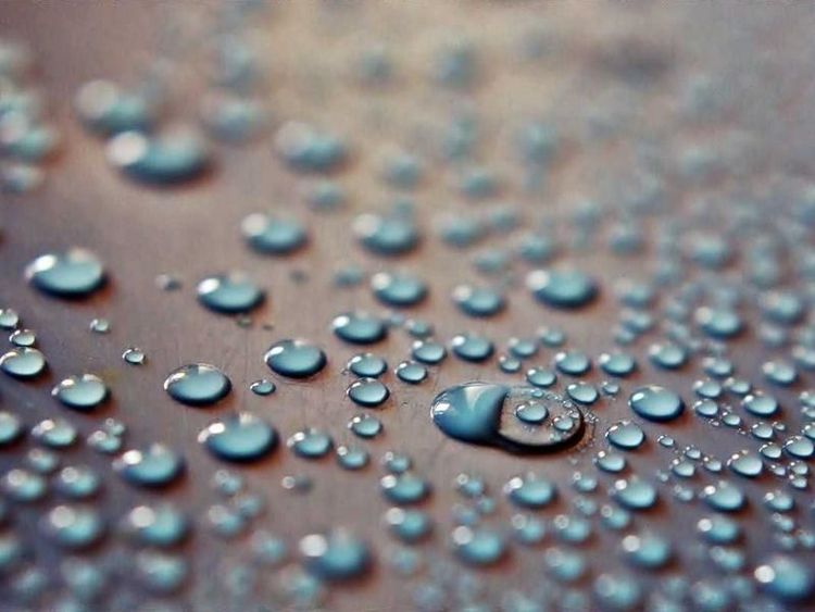 Koffiemoment met Amir