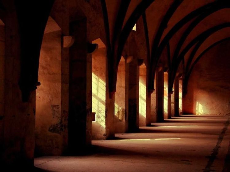 Koffiemoment met Faas