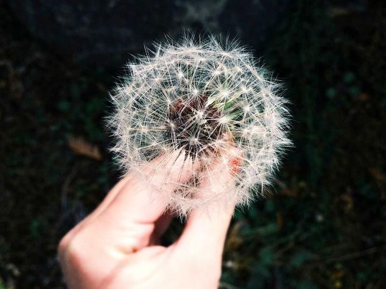 Koffiemoment met Novan