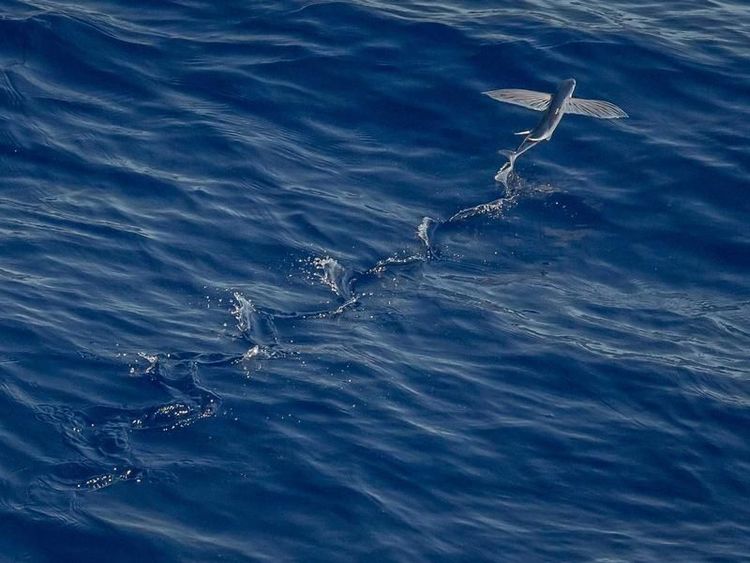 Schilderworkshop met Riff