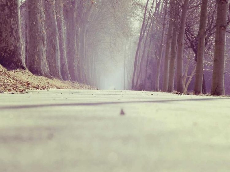 Voetbalclinic met Dani