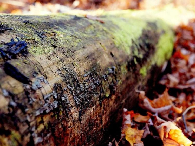 Wijnproeverij met Bobbie