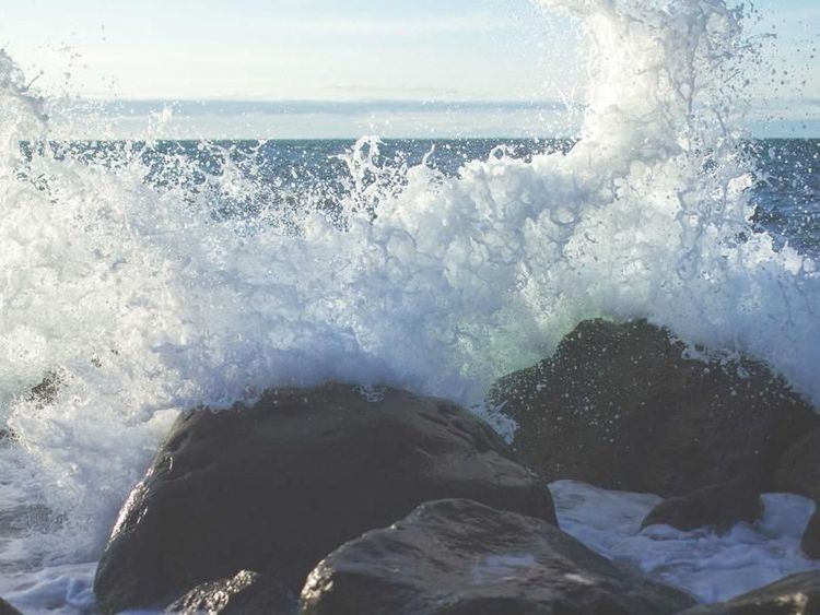 Wijnproeverij met Nomi