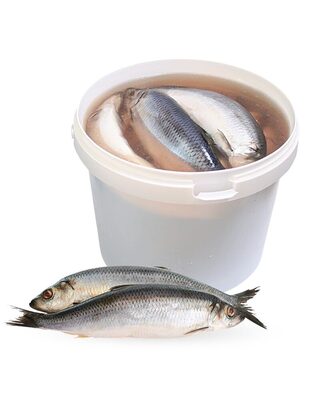 Ungutted Herring in a Bucket 7kg